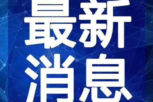 高唐美食爆料视频大全最新,揭秘最新爆料视频大全中的地道风味